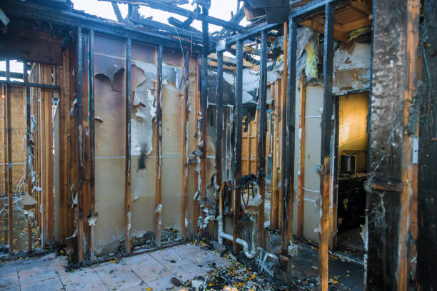 Professional Fire Damage Removal technician working in Chanhassen, MN